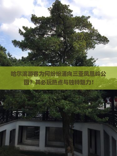 哈尔滨游客为何纷纷涌向三亚凤凰岭公园？其必玩热点与独特魅力！