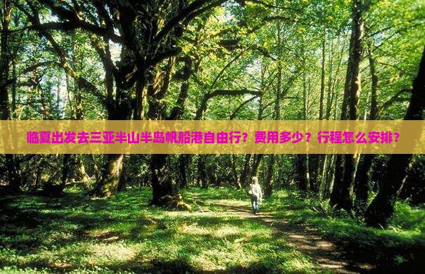 临夏出发去三亚半山半岛帆船港自由行？费用多少？行程怎么安排？
