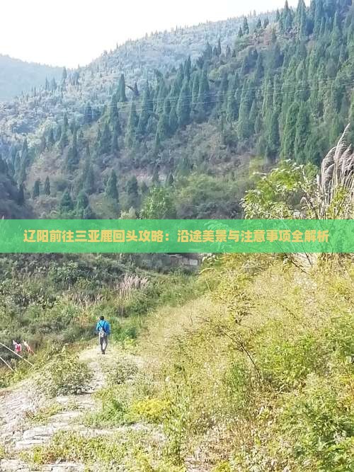 辽阳前往三亚鹿回头攻略：沿途美景与注意事项全解析