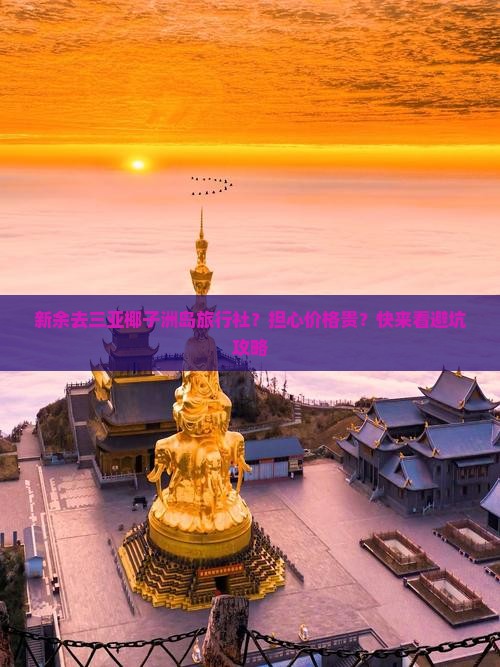 新余去三亚椰子洲岛旅行社？担心价格贵？快来看避坑攻略