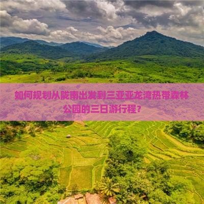 如何规划从陇南出发到三亚亚龙湾热带森林公园的三日游行程？