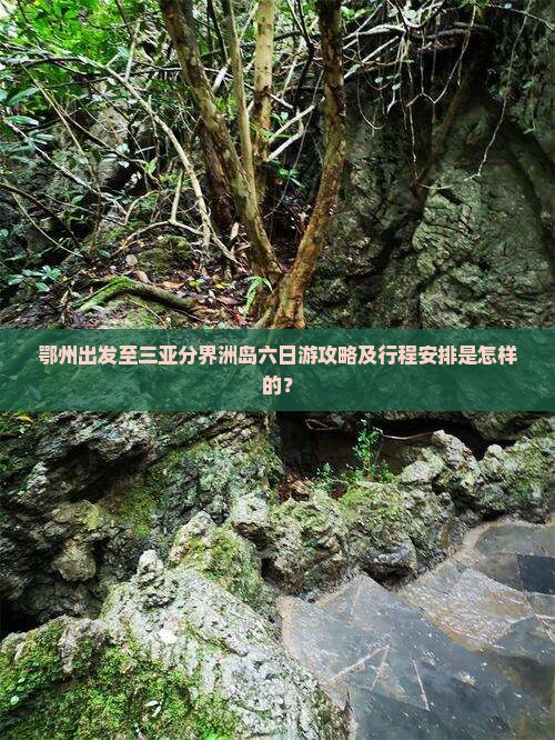 鄂州出发至三亚分界洲岛六日游攻略及行程安排是怎样的？