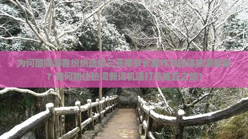 为何醴陵游客纷纷选择三亚椰梦长廊作为团体旅游新宠？如何抓住热词新词机遇打造难忘之旅？