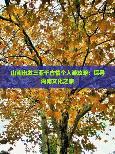 山南出发三亚千古情个人游攻略：探寻海南文化之旅