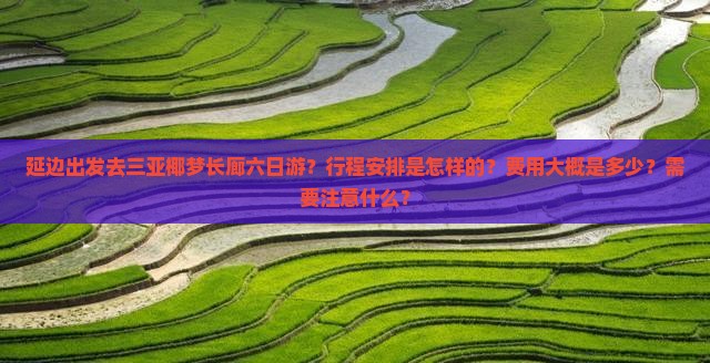 延边出发去三亚椰梦长廊六日游？行程安排是怎样的？费用大概是多少？需要注意什么？