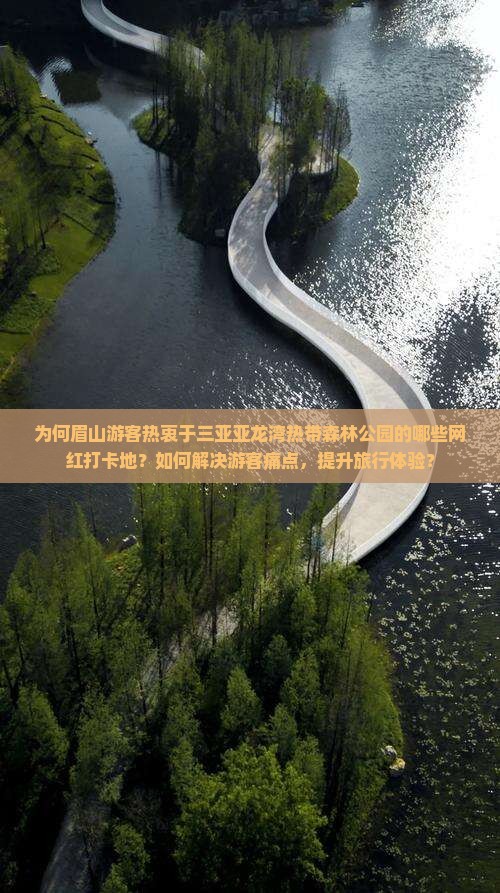 为何眉山游客热衷于三亚亚龙湾热带森林公园的哪些网红打卡地？如何解决游客痛点，提升旅行体验？