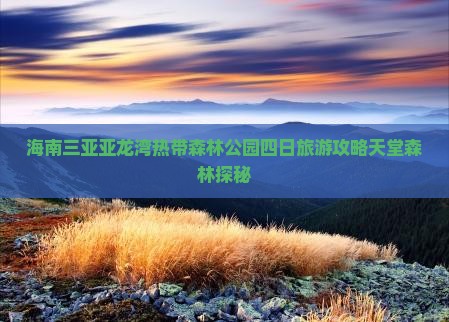 海南三亚亚龙湾热带森林公园四日旅游攻略天堂森林探秘
