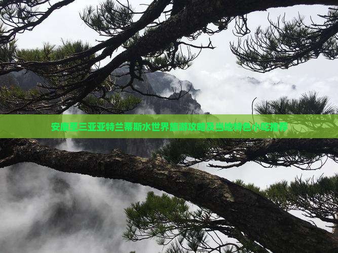 安康至三亚亚特兰蒂斯水世界旅游攻略及当地特色小吃推荐