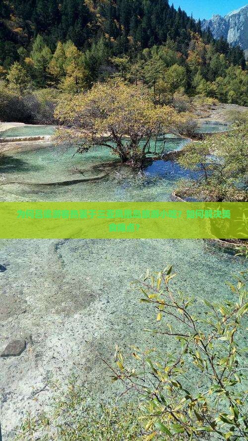 为何吕梁游客热衷于三亚凤凰岛旅游小吃？如何解决美食痛点？