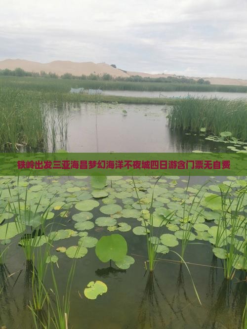 铁岭出发三亚海昌梦幻海洋不夜城四日游含门票无自费