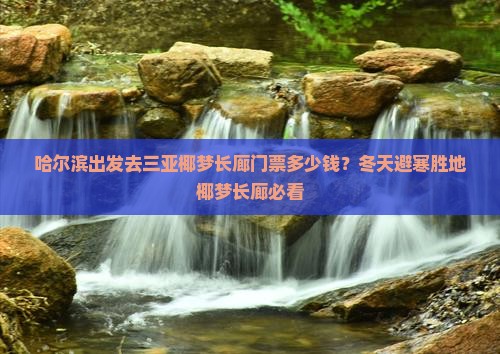 哈尔滨出发去三亚椰梦长廊门票多少钱？冬天避寒胜地椰梦长廊必看