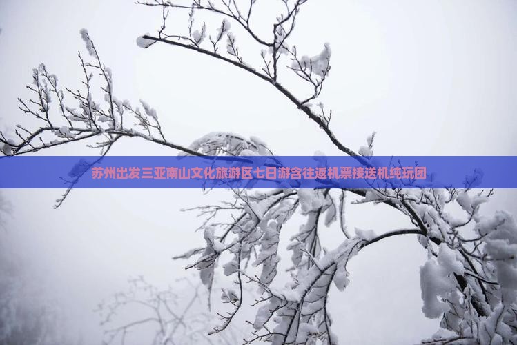 苏州出发三亚南山文化旅游区七日游含往返机票接送机纯玩团
