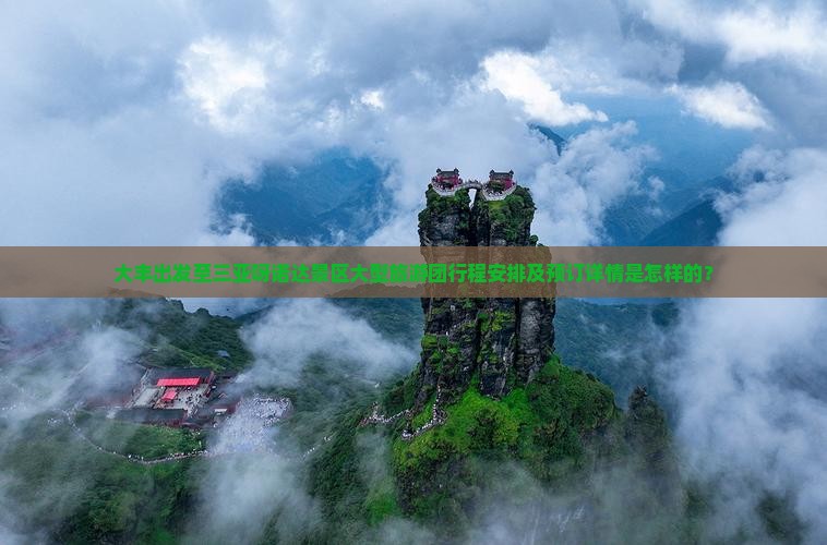 大丰出发至三亚呀诺达景区大型旅游团行程安排及预订详情是怎样的？