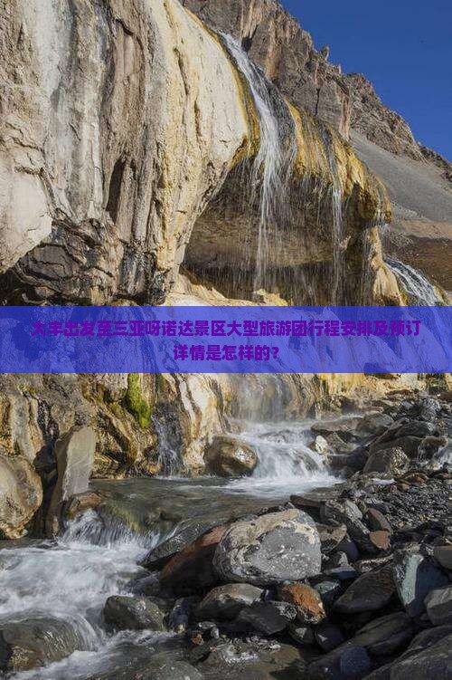 大丰出发至三亚呀诺达景区大型旅游团行程安排及预订详情是怎样的？
