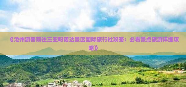 《沧州游客前往三亚呀诺达景区国际旅行社攻略：必看景点旅游详细攻略》