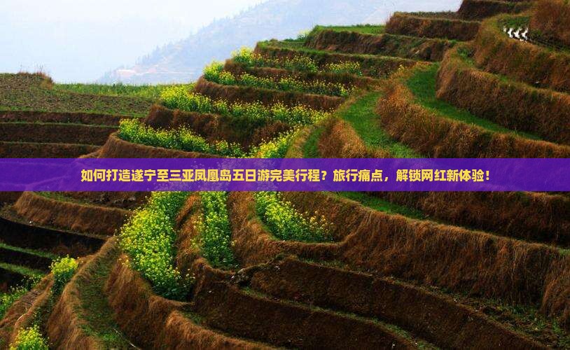 如何打造遂宁至三亚凤凰岛五日游完美行程？旅行痛点，解锁网红新体验！