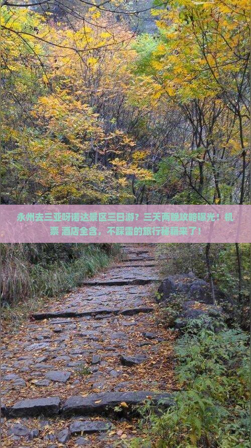 永州去三亚呀诺达景区三日游？三天两晚攻略曝光！机票+酒店全含，不踩雷的旅行秘籍来了！