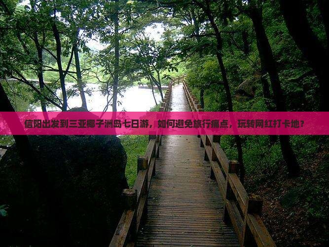 信阳出发到三亚椰子洲岛七日游，如何避免旅行痛点，玩转网红打卡地？