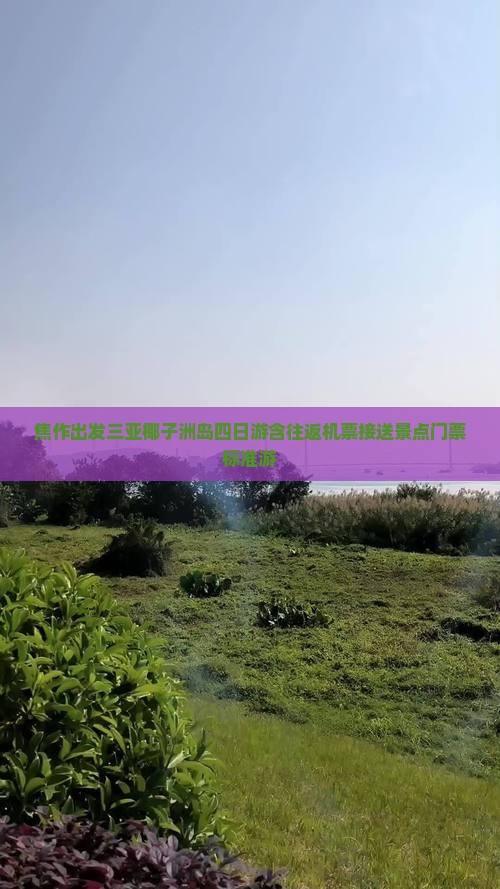 焦作出发三亚椰子洲岛四日游含往返机票接送景点门票标准游