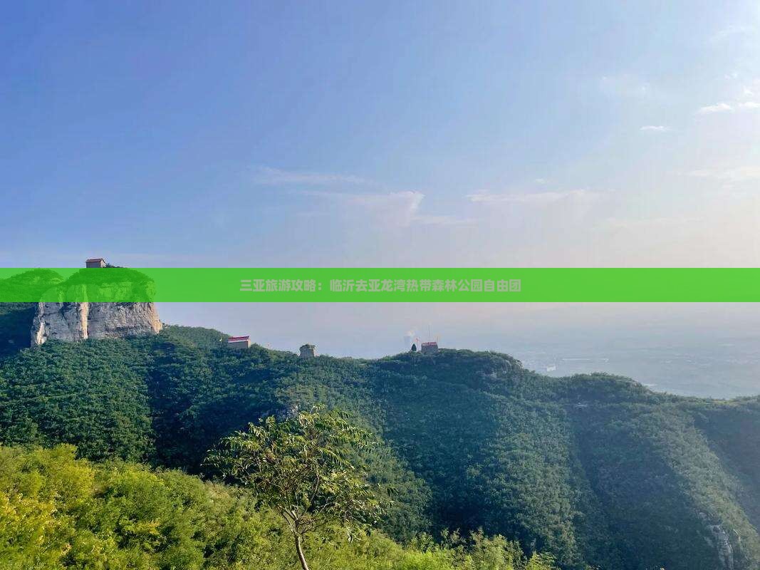 三亚旅游攻略：临沂去亚龙湾热带森林公园自由团