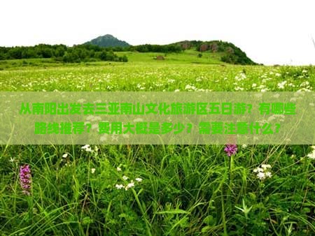 从南阳出发去三亚南山文化旅游区五日游？有哪些路线推荐？费用大概是多少？需要注意什么？