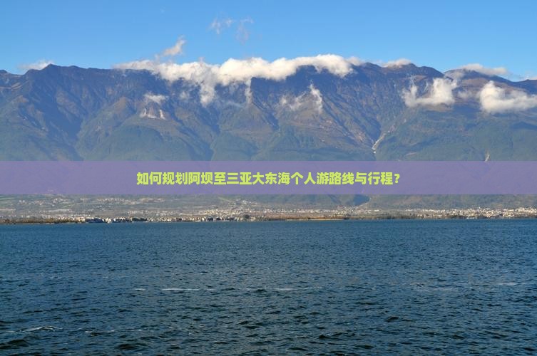 如何规划阿坝至三亚大东海个人游路线与行程？