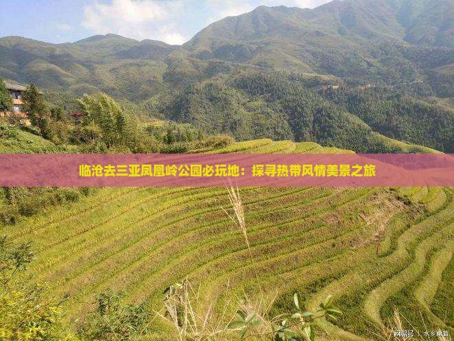 临沧去三亚凤凰岭公园必玩地：探寻热带风情美景之旅