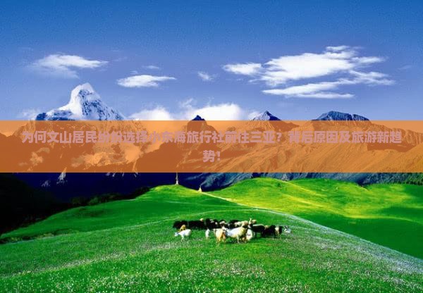 为何文山居民纷纷选择小东海旅行社前往三亚？背后原因及旅游新趋势！