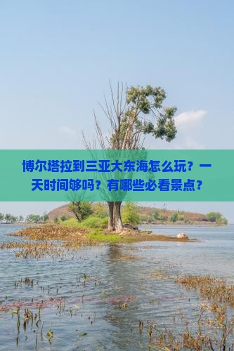 博尔塔拉到三亚大东海怎么玩？一天时间够吗？有哪些必看景点？