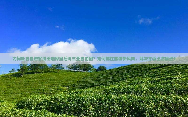 为何吐鲁番游客纷纷选择皇后湾三亚自由团？如何抓住旅游新风向，解决冬季出游痛点？