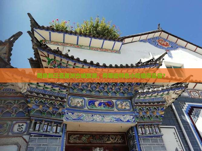 阳泉到三亚崖洲古城旅游，有哪些特色小吃值得品尝？