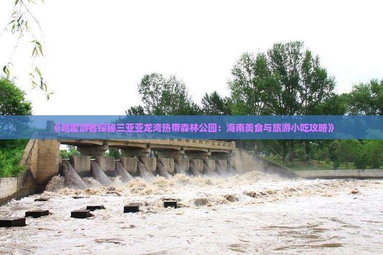 《哈密游客探秘三亚亚龙湾热带森林公园：海南美食与旅游小吃攻略》