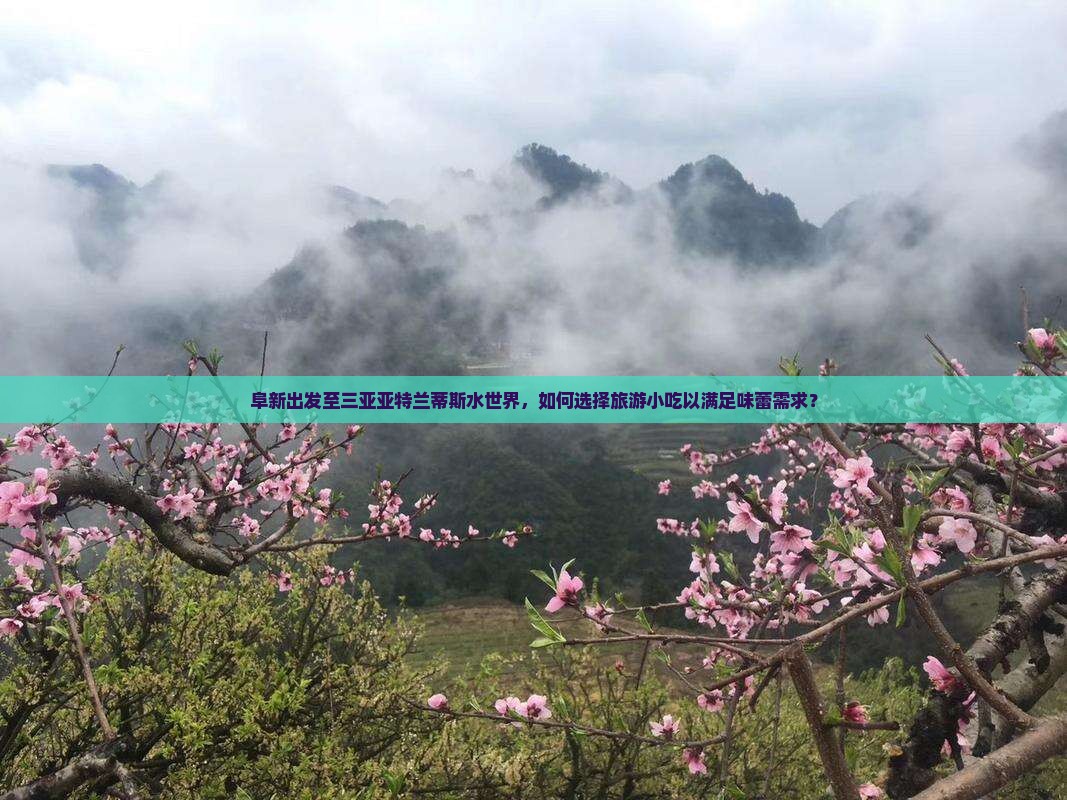 阜新出发至三亚亚特兰蒂斯水世界，如何选择旅游小吃以满足味蕾需求？