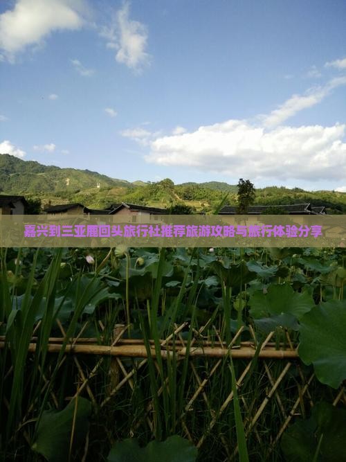 嘉兴到三亚鹿回头旅行社推荐旅游攻略与旅行体验分享