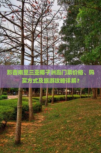 黔西南至三亚椰子洲岛门票价格、购买方式及旅游攻略详解？