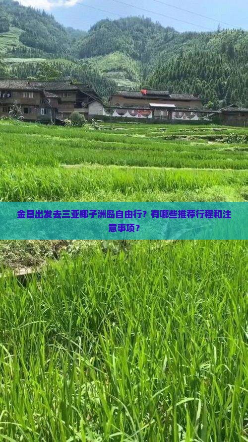 金昌出发去三亚椰子洲岛自由行？有哪些推荐行程和注意事项？