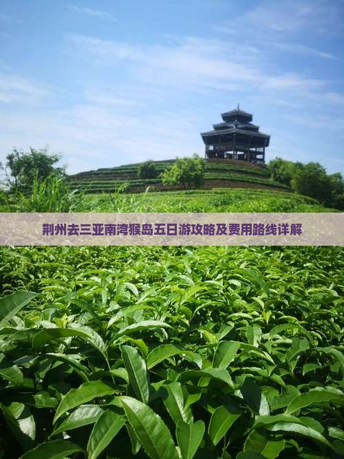 荆州去三亚南湾猴岛五日游攻略及费用路线详解
