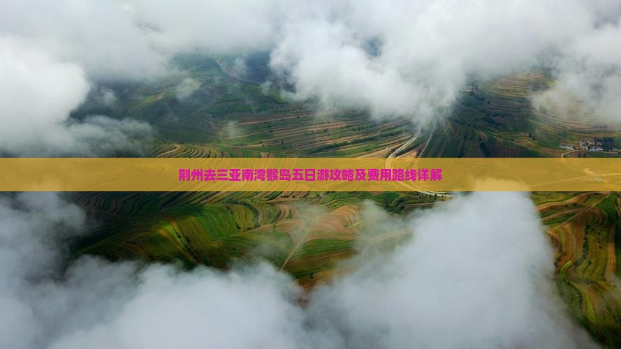 荆州去三亚南湾猴岛五日游攻略及费用路线详解