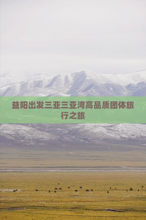 益阳出发三亚三亚湾高品质团体旅行之旅