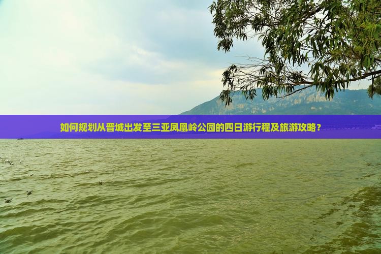 如何规划从晋城出发至三亚凤凰岭公园的四日游行程及旅游攻略？