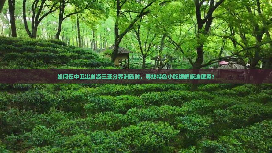 如何在中卫出发游三亚分界洲岛时，寻找特色小吃缓解旅途疲惫？
