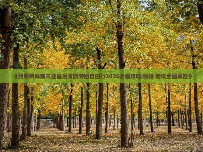 昆明出发三亚皇后湾自由团