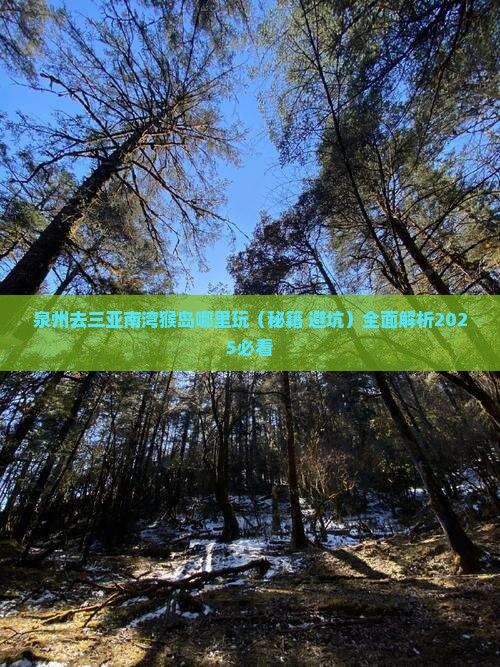 泉州去三亚南湾猴岛哪里玩