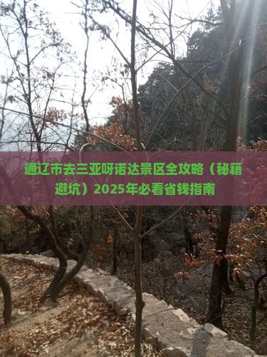 通辽市去三亚呀诺达景区攻略