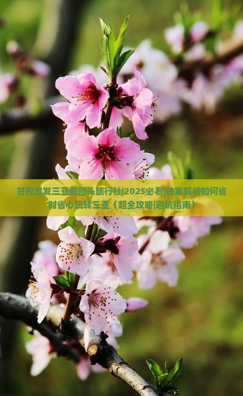 甘孜出发三亚鹿回头旅行社