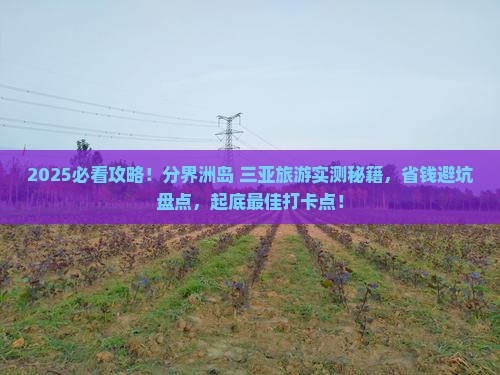 舟山前往三亚分界洲岛旅游打卡点