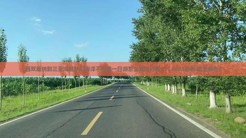 西双版纳前往三亚海昌梦幻海洋不夜城一日游