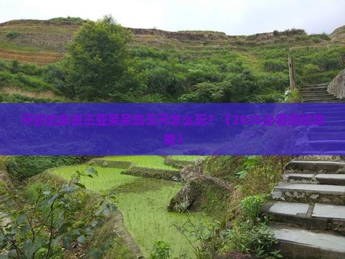 开封前往三亚呆呆岛五日游