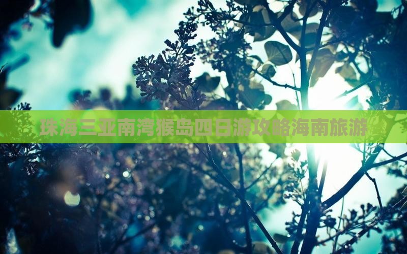 珠海出发三亚南湾猴岛四日游