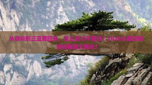 铁岭前往三亚鹿回头哪里玩